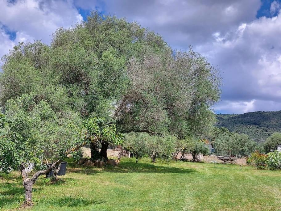Вілла Olbia Grazioso Bilo In Periferia Sole Ruiu Екстер'єр фото